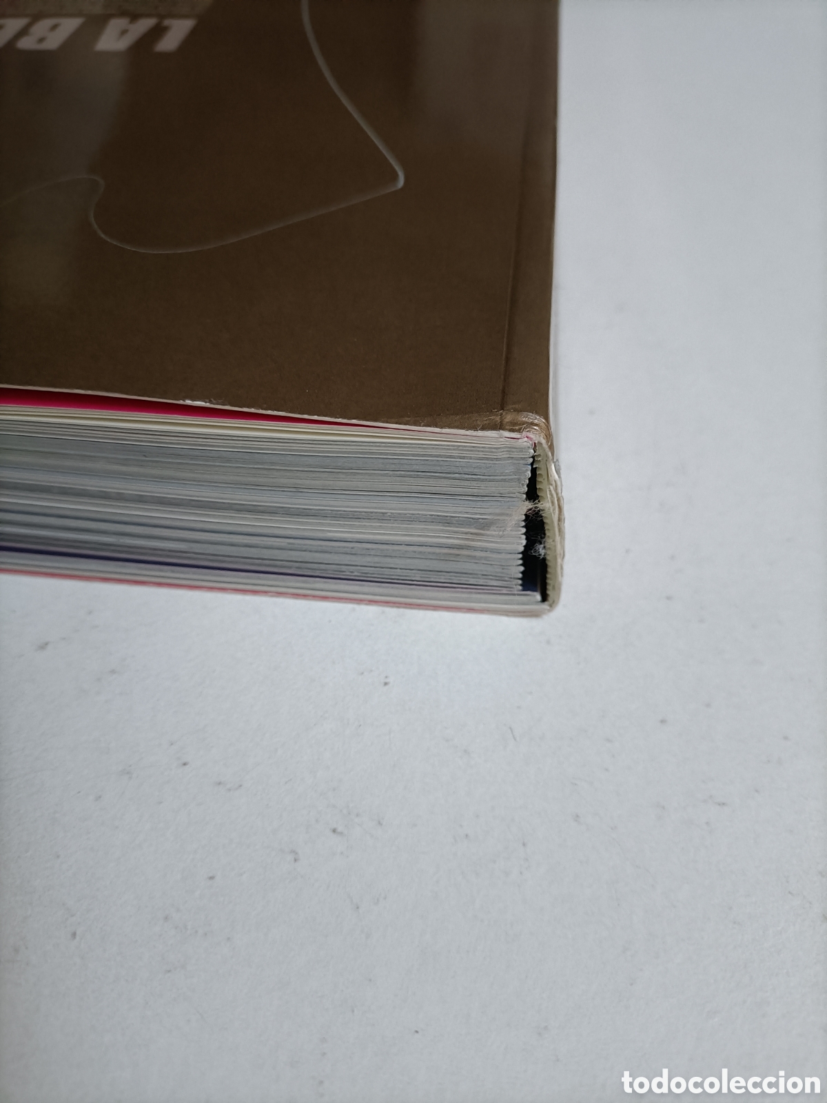 Libros de segunda mano: La beaute. Texto en franc&eacute;s exposici&oacute;n Avi&ntilde;&oacute;n. La belleza - Foto 7