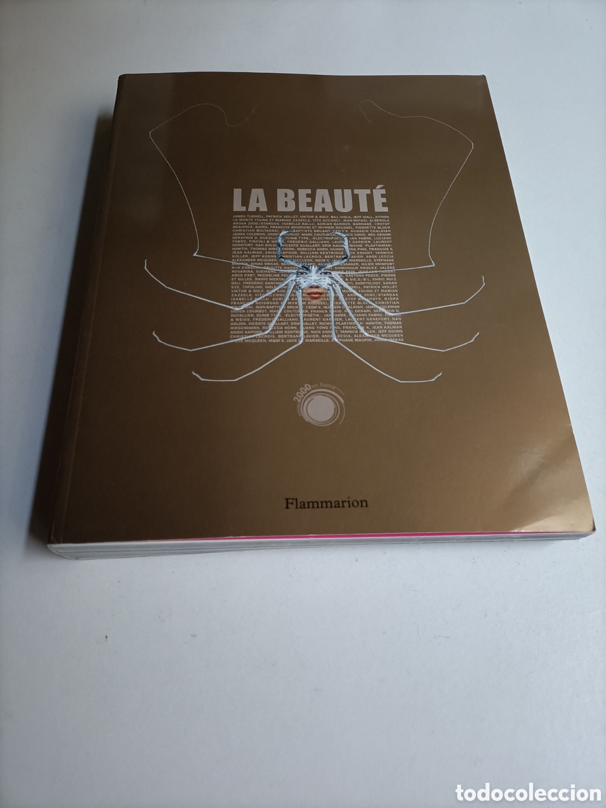 Libros de segunda mano: La beaute. Texto en franc&eacute;s exposici&oacute;n Avi&ntilde;&oacute;n. La belleza - Foto 1
