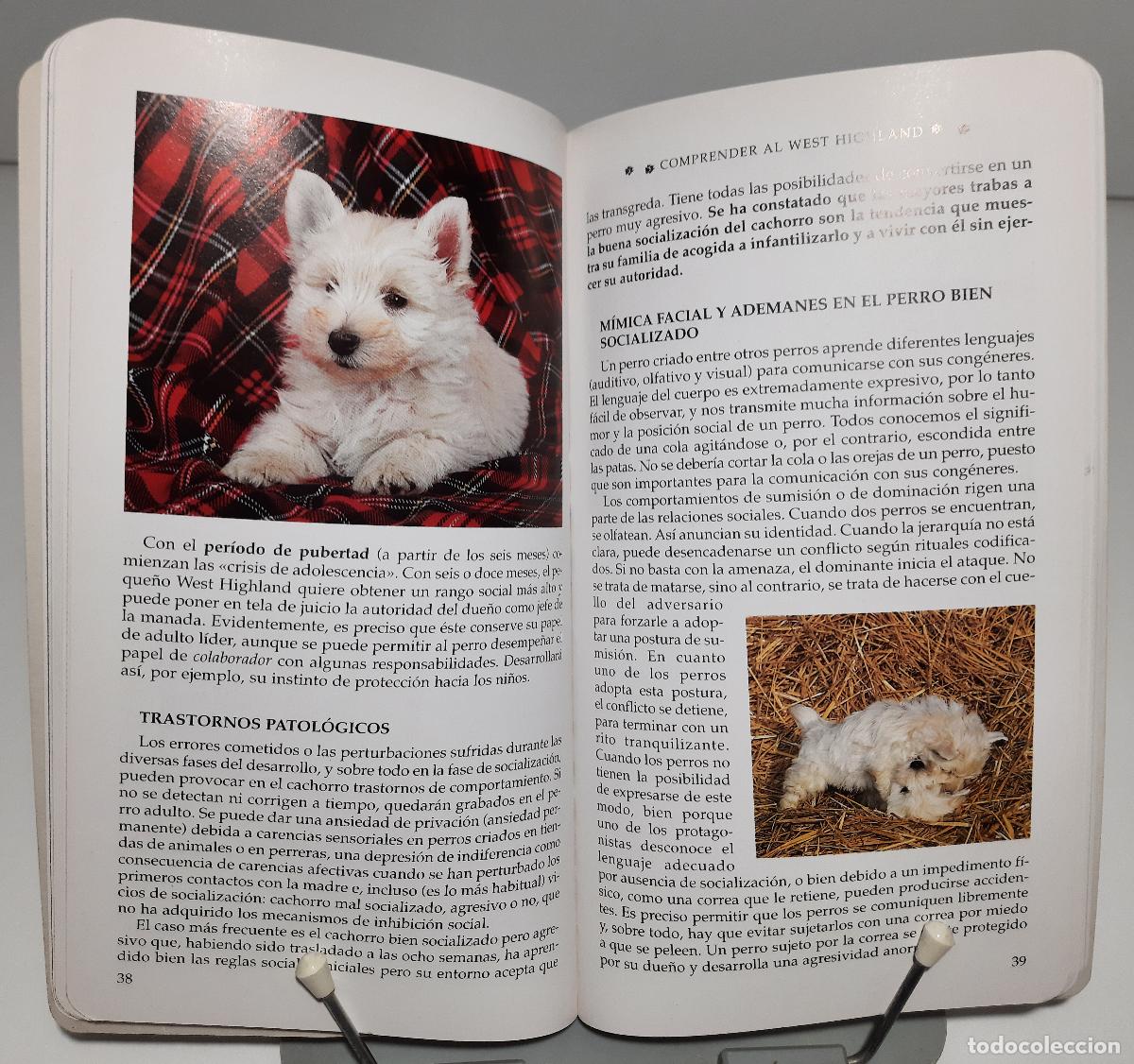 Libros de segunda mano: El West Highland White Terrier - Hubert, Marie-Luce - Foto 2