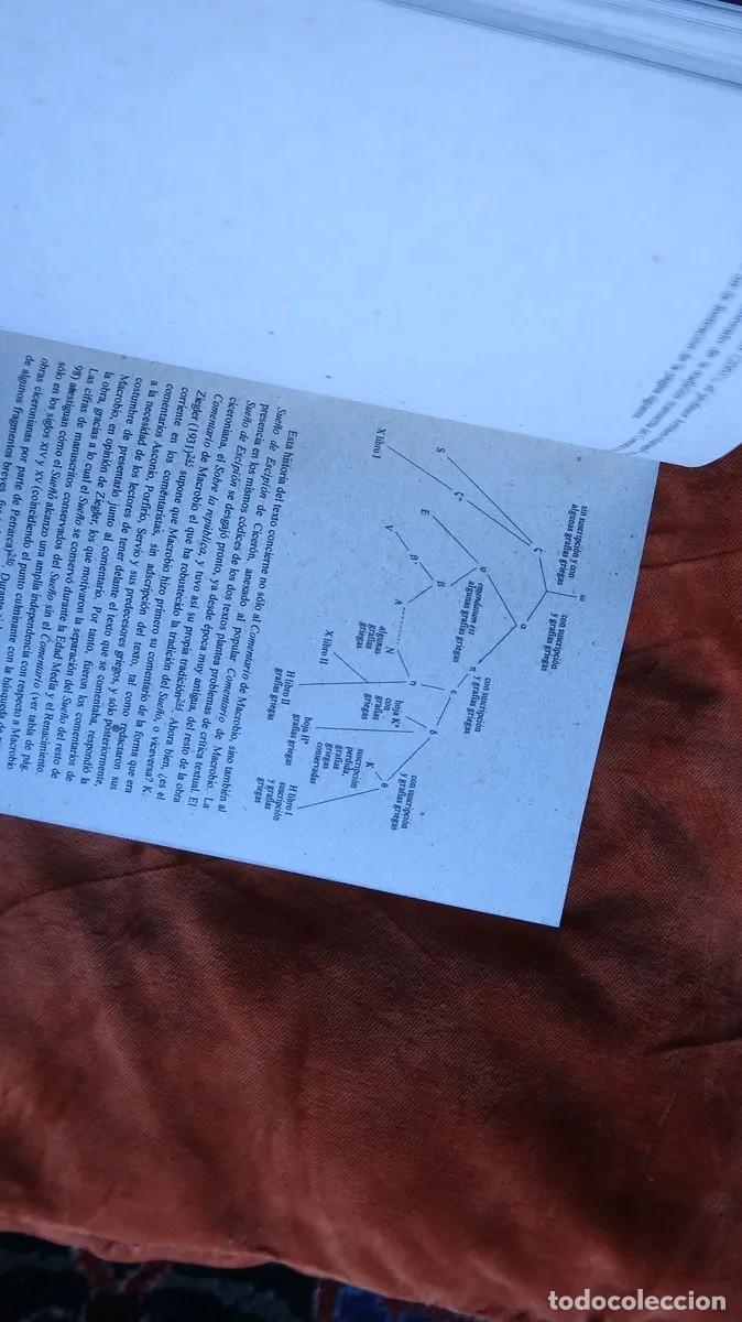 Libros de segunda mano: Macrobio &mdash; Comentario al Sue&ntilde;o de Escipi&oacute;n de Cicer&oacute;n - LM - Foto 4