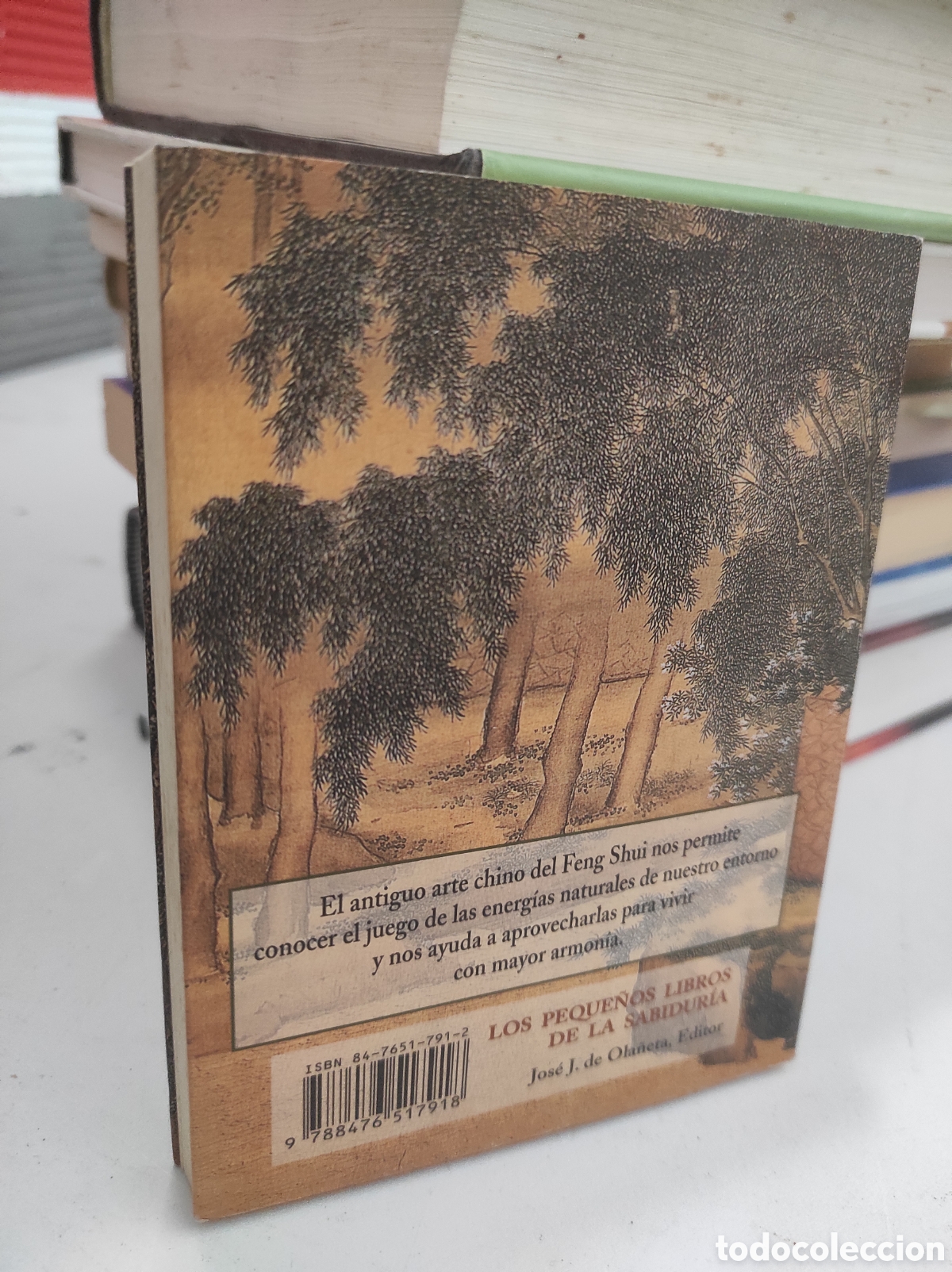 Libros de segunda mano: Feng Shui. Armon&iacute;a de los lugares. G&eacute;rard Edde. (PEDIDO MINIMO 5&euro;) - Foto 2