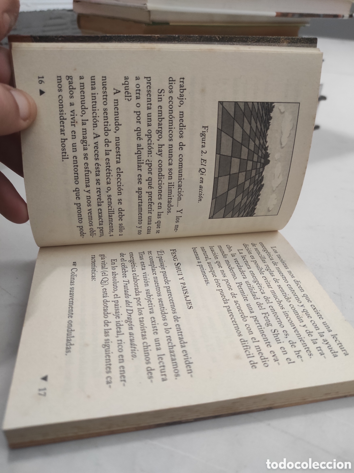 Libros de segunda mano: Feng Shui. Armon&iacute;a de los lugares. G&eacute;rard Edde. (PEDIDO MINIMO 5&euro;) - Foto 4