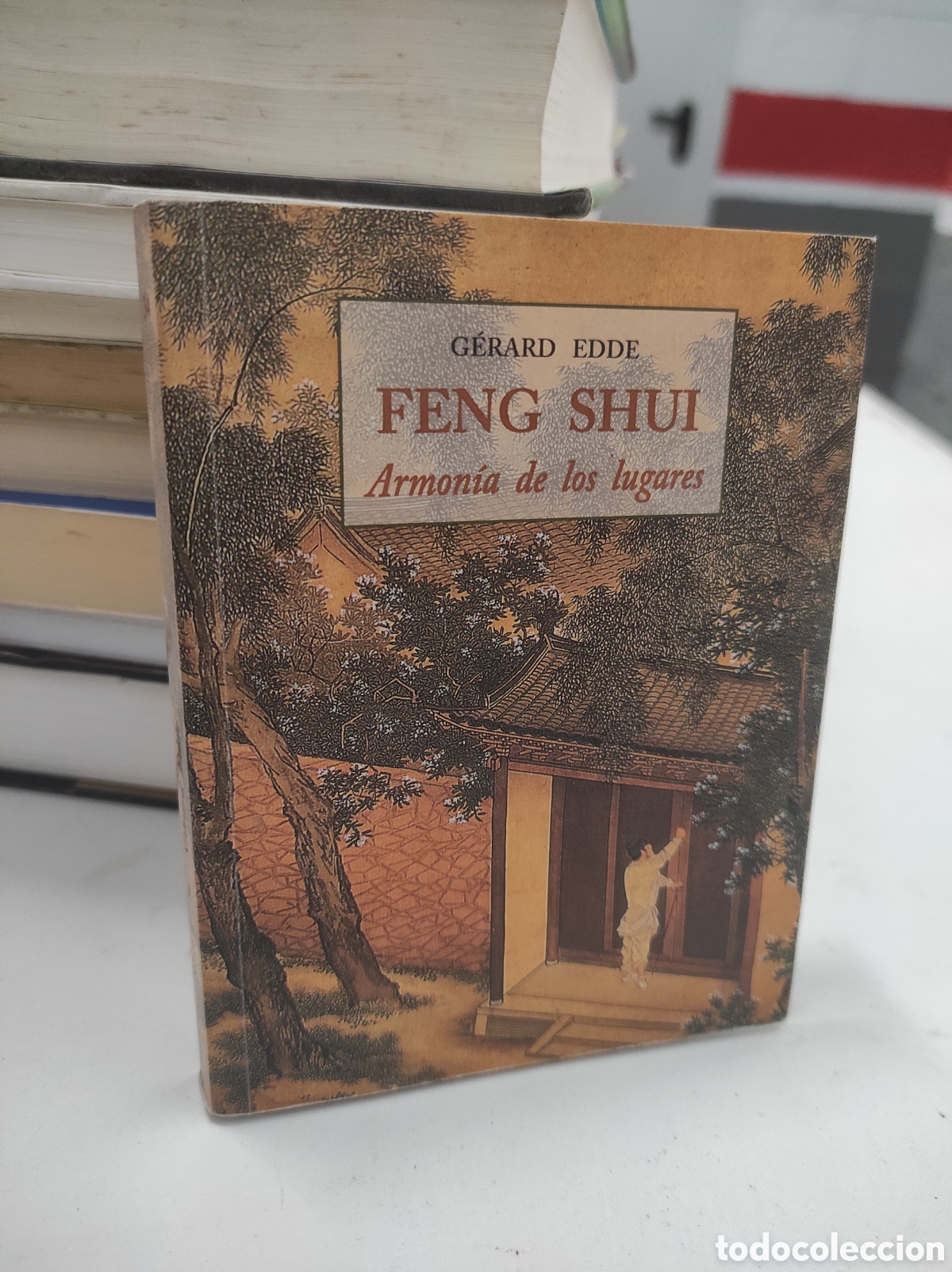 Libros de segunda mano: Feng Shui. Armon&iacute;a de los lugares. G&eacute;rard Edde. (PEDIDO MINIMO 5&euro;) - Foto 1