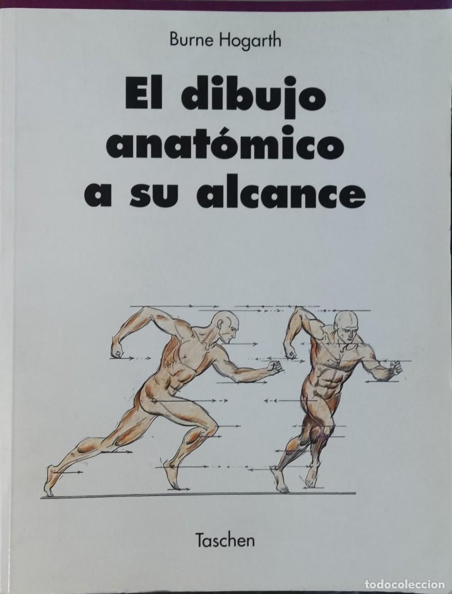 Libros de segunda mano: Libro EL Dibujo Anat&oacute;mico a su Alcance - Foto 1