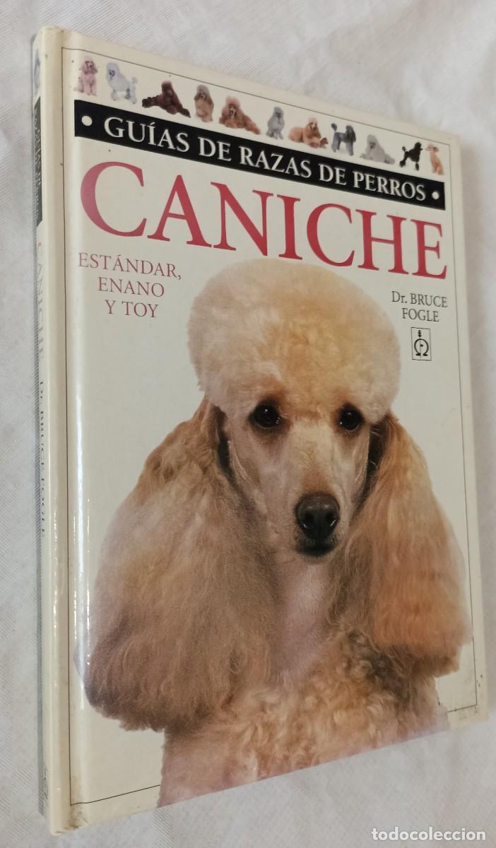 Libros de segunda mano: CANICHE. Est&aacute;ndar, Enano y Toy.- Dr. Bruce Fogle. - Foto 1