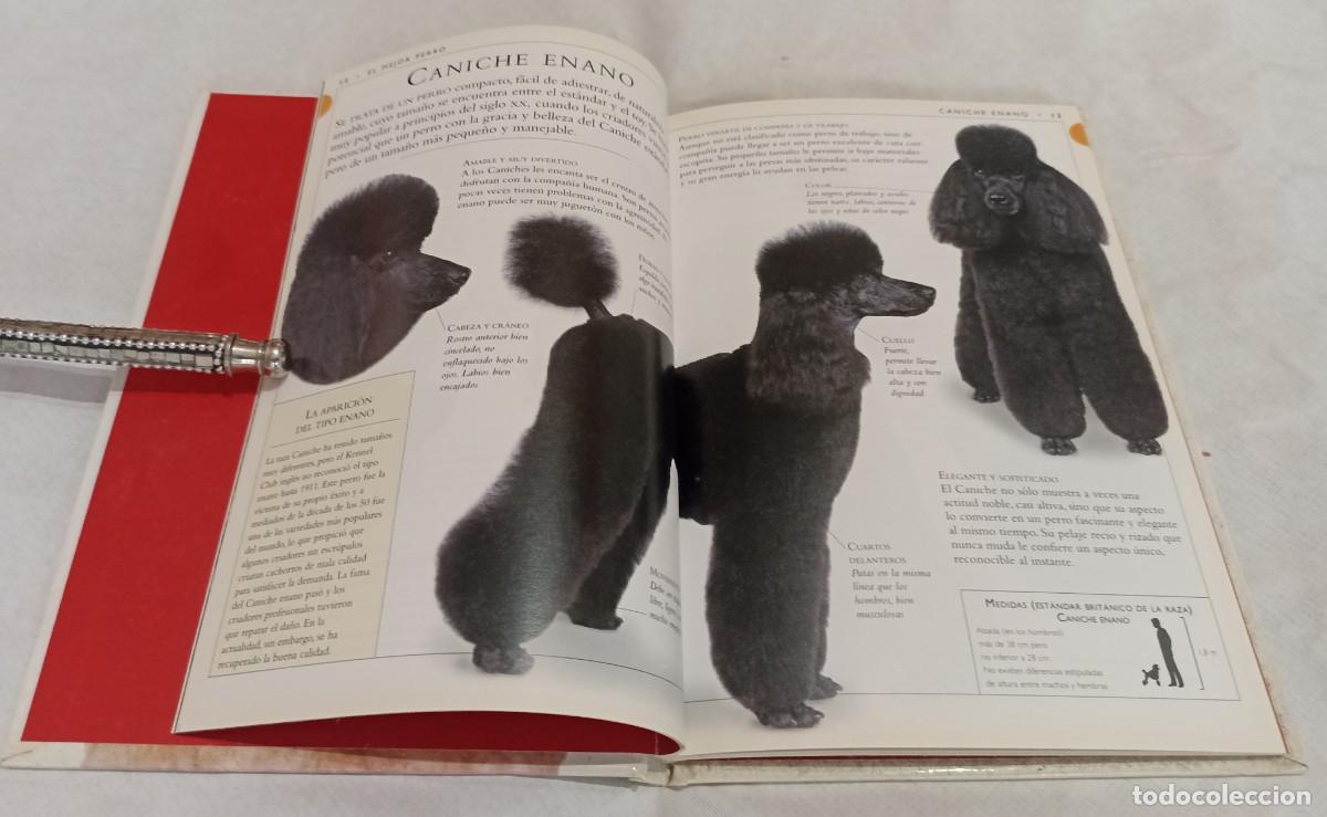 Libros de segunda mano: CANICHE. Est&aacute;ndar, Enano y Toy.- Dr. Bruce Fogle. - Foto 2