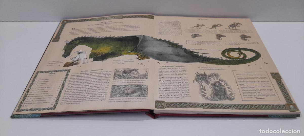 Libros de segunda mano: LIBRO DRAGONES - EL GRAN LIBRO DE LOS DRAGONES . MONTENA . VOLUMEN I - Foto 6