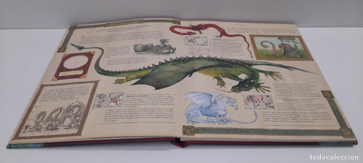 Libros de segunda mano: LIBRO DRAGONES - EL GRAN LIBRO DE LOS DRAGONES . MONTENA . VOLUMEN I - Foto 9