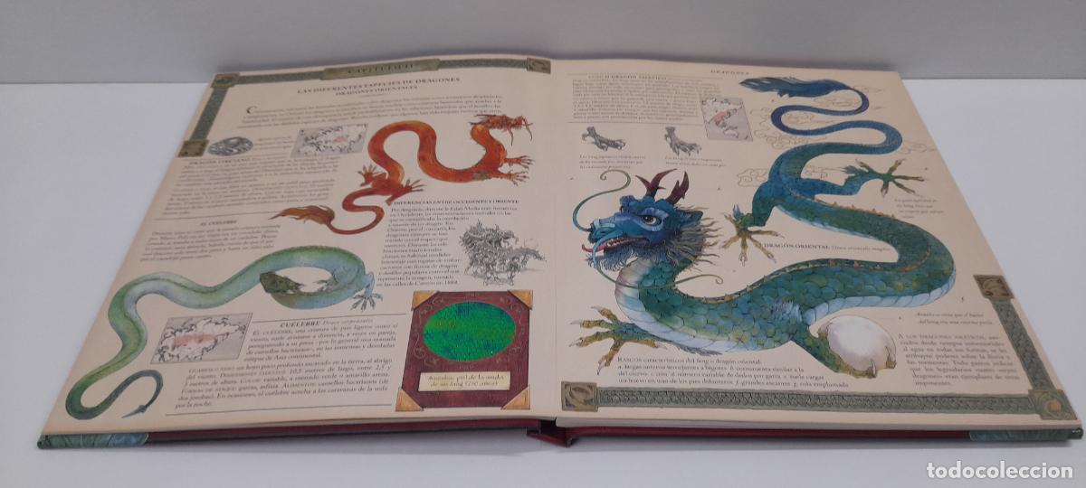 Libros de segunda mano: LIBRO DRAGONES - EL GRAN LIBRO DE LOS DRAGONES . MONTENA . VOLUMEN I - Foto 10