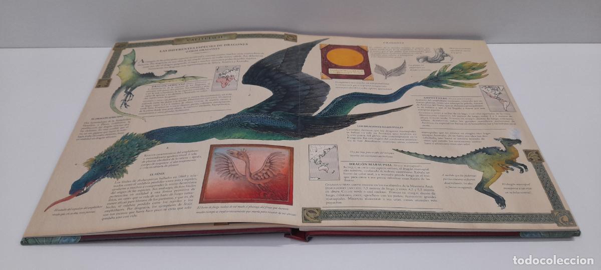 Libros de segunda mano: LIBRO DRAGONES - EL GRAN LIBRO DE LOS DRAGONES . MONTENA . VOLUMEN I - Foto 11