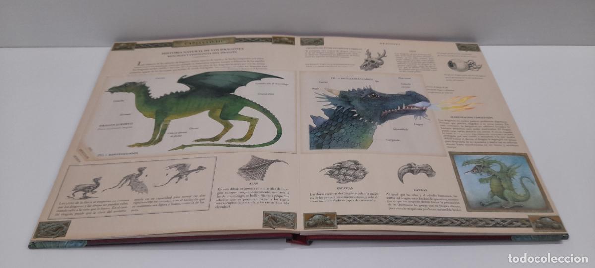 Libros de segunda mano: LIBRO DRAGONES - EL GRAN LIBRO DE LOS DRAGONES . MONTENA . VOLUMEN I - Foto 12