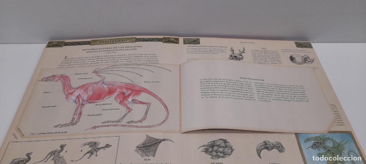 Libros de segunda mano: LIBRO DRAGONES - EL GRAN LIBRO DE LOS DRAGONES . MONTENA . VOLUMEN I - Foto 13
