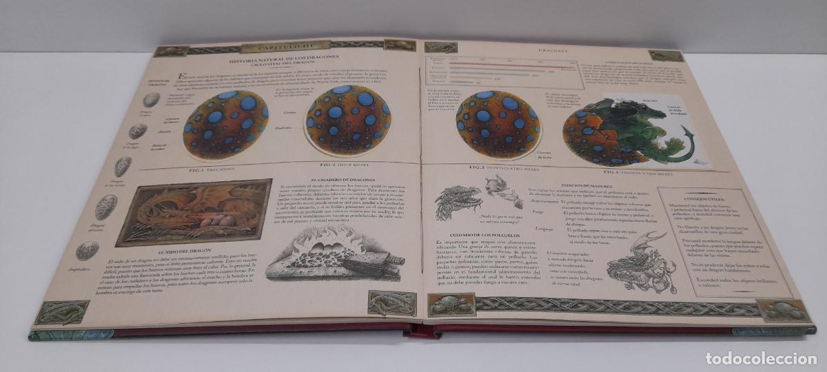 Libros de segunda mano: LIBRO DRAGONES - EL GRAN LIBRO DE LOS DRAGONES . MONTENA . VOLUMEN I - Foto 14