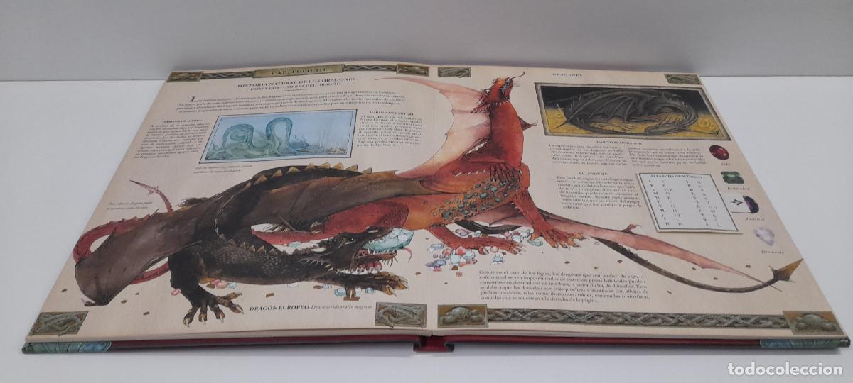 Libros de segunda mano: LIBRO DRAGONES - EL GRAN LIBRO DE LOS DRAGONES . MONTENA . VOLUMEN I - Foto 15