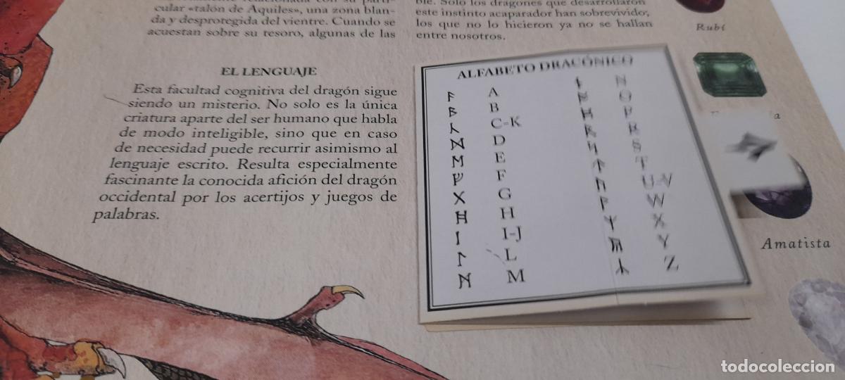 Libros de segunda mano: LIBRO DRAGONES - EL GRAN LIBRO DE LOS DRAGONES . MONTENA . VOLUMEN I - Foto 16