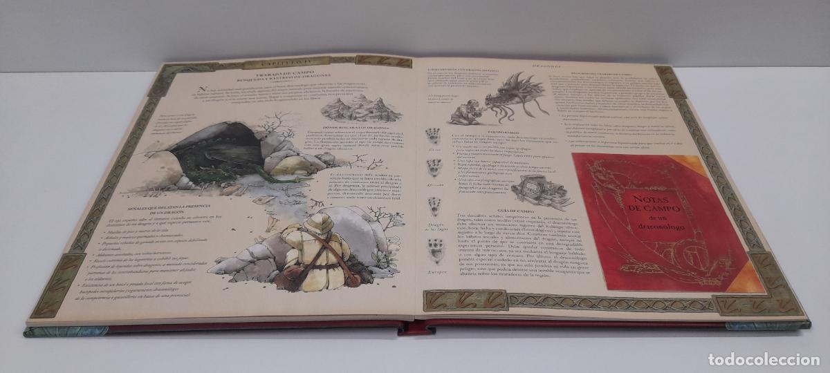 Libros de segunda mano: LIBRO DRAGONES - EL GRAN LIBRO DE LOS DRAGONES . MONTENA . VOLUMEN I - Foto 17