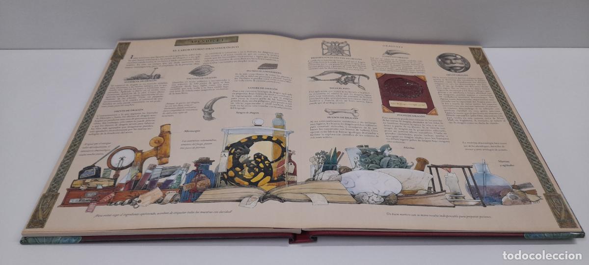 Libros de segunda mano: LIBRO DRAGONES - EL GRAN LIBRO DE LOS DRAGONES . MONTENA . VOLUMEN I - Foto 21
