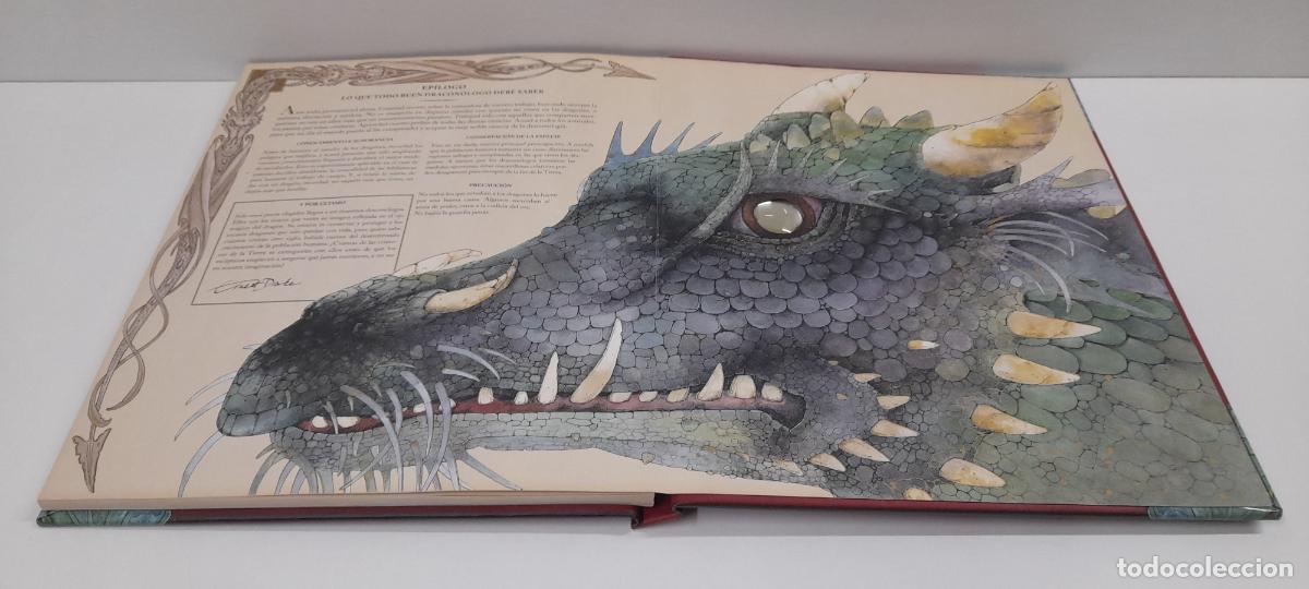 Libros de segunda mano: LIBRO DRAGONES - EL GRAN LIBRO DE LOS DRAGONES . MONTENA . VOLUMEN I - Foto 26