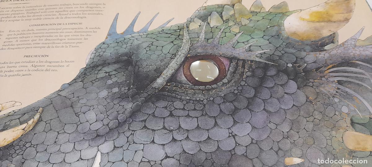 Libros de segunda mano: LIBRO DRAGONES - EL GRAN LIBRO DE LOS DRAGONES . MONTENA . VOLUMEN I - Foto 27