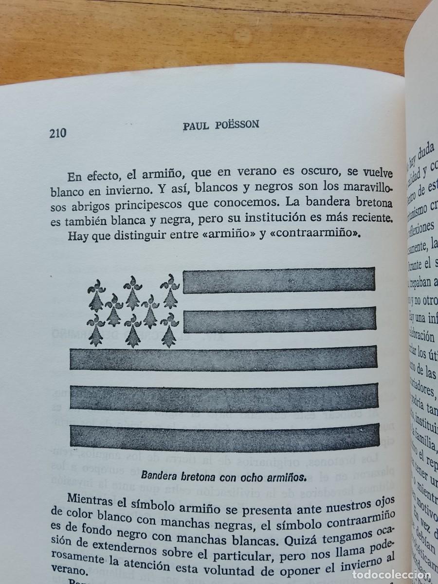 Libros de segunda mano: El testamento de Noe. Paul Poesson - Foto 9