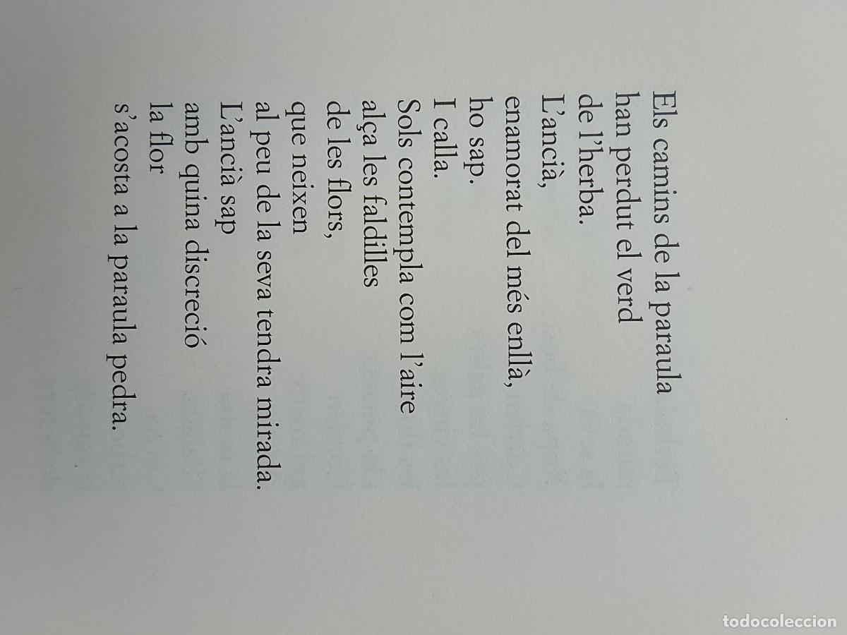 Libros de segunda mano: Emily Dickinson. Quadern de Versalia II - Foto 9