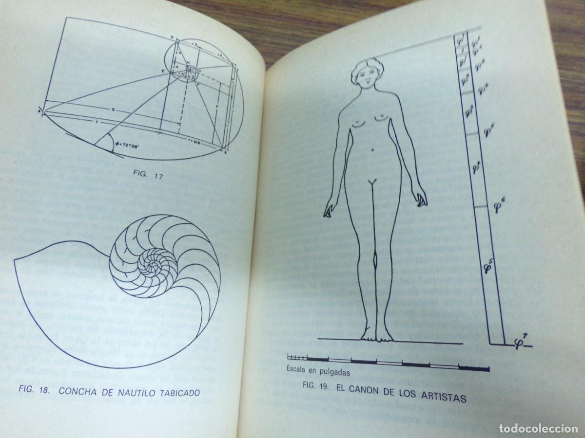 Libros de segunda mano: el poder magico de las piramides. max toth, greg nielsen. ediciones martinez roca 1977 - Foto 8