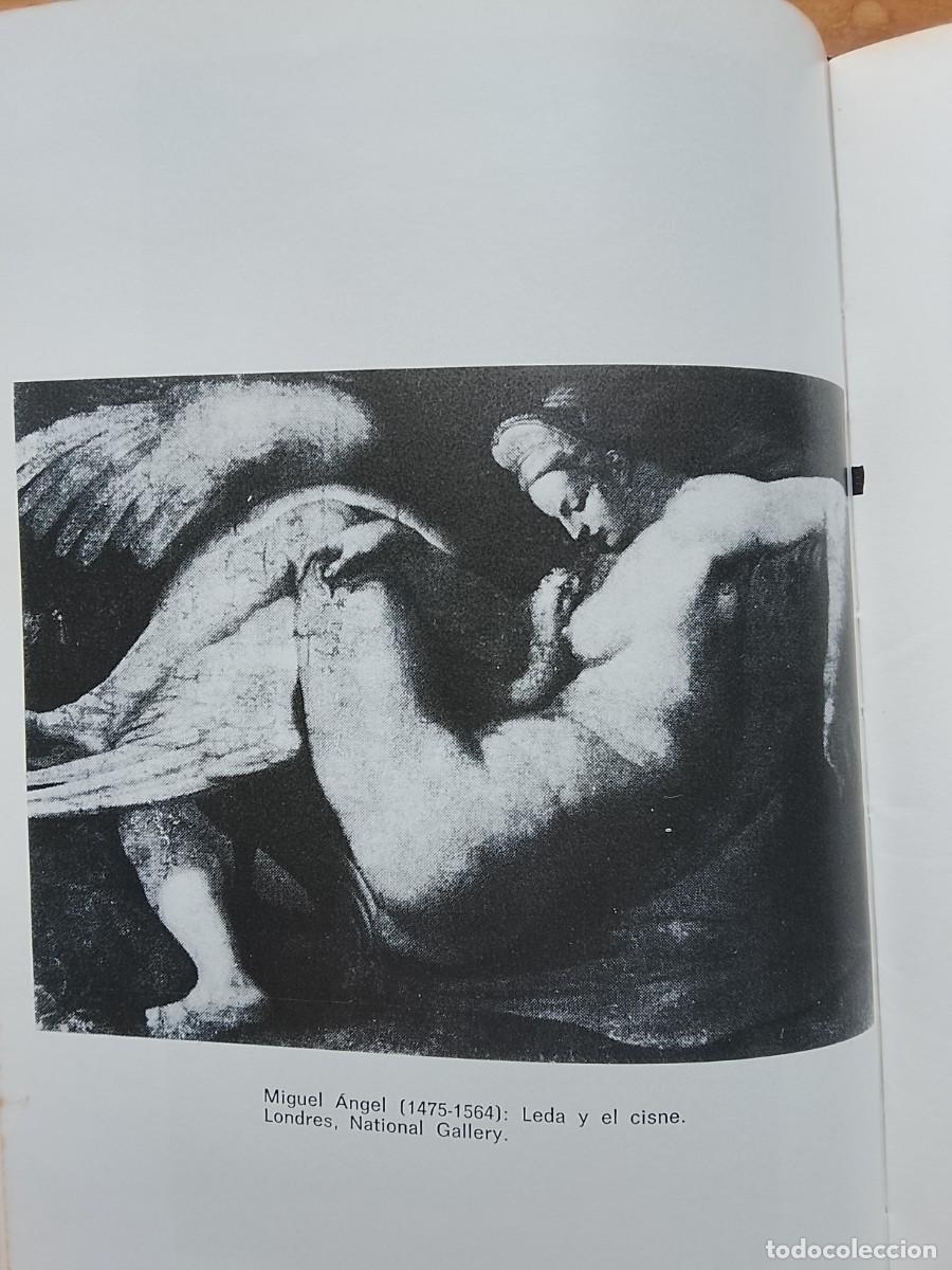 Libros de segunda mano: &Iacute;ncubos y s&uacute;cubos. Dr. Frederik Koning - Foto 10