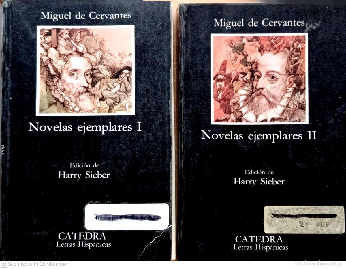 Libros de segunda mano: Novelas ejemplares - Miguel de Cervantes - Foto 1