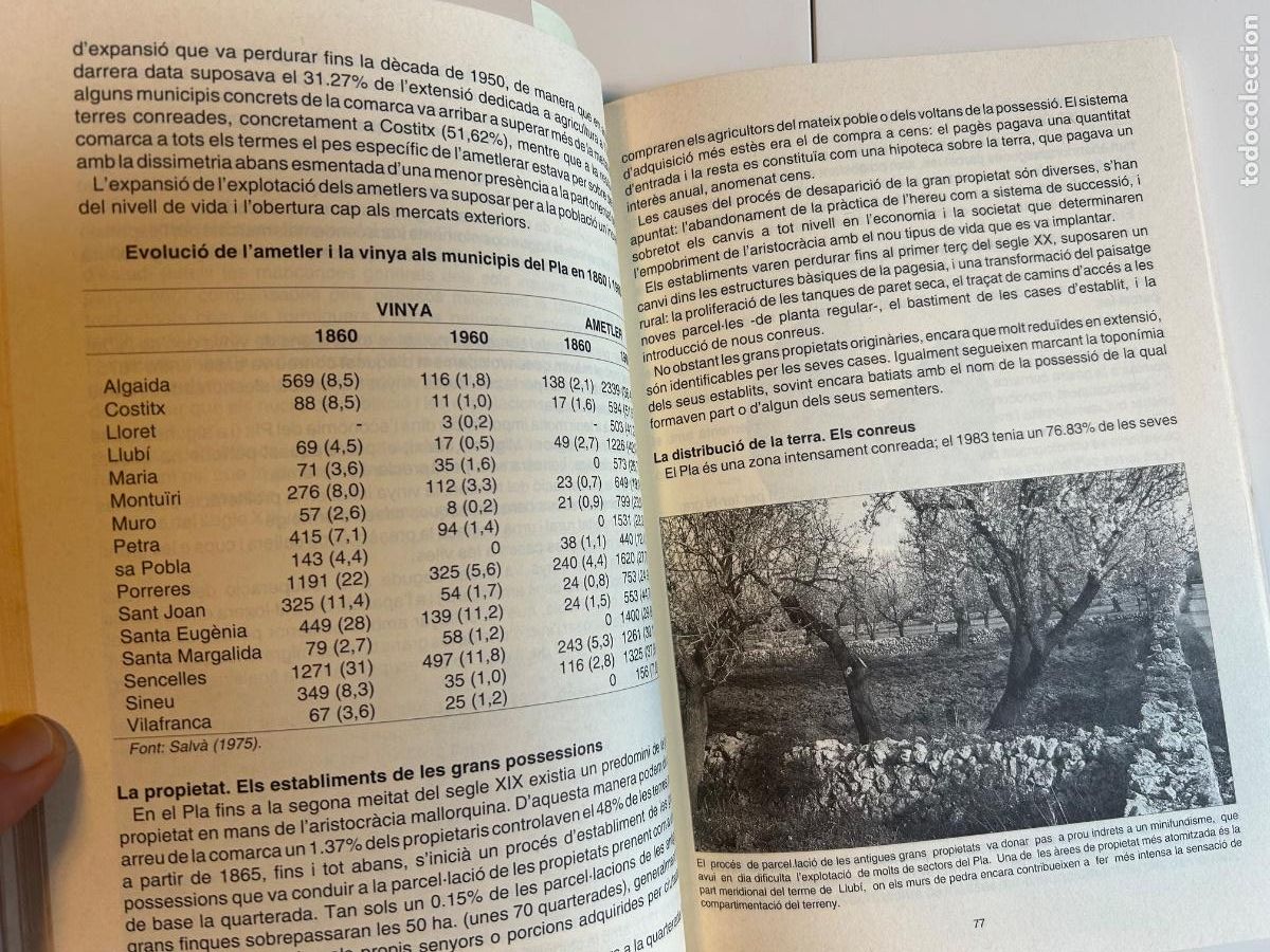 Libros de segunda mano: El Pla de Mallorca. VV.AA. Did&agrave;ctica per a lestudi de la comarca, 1993 - Foto 4