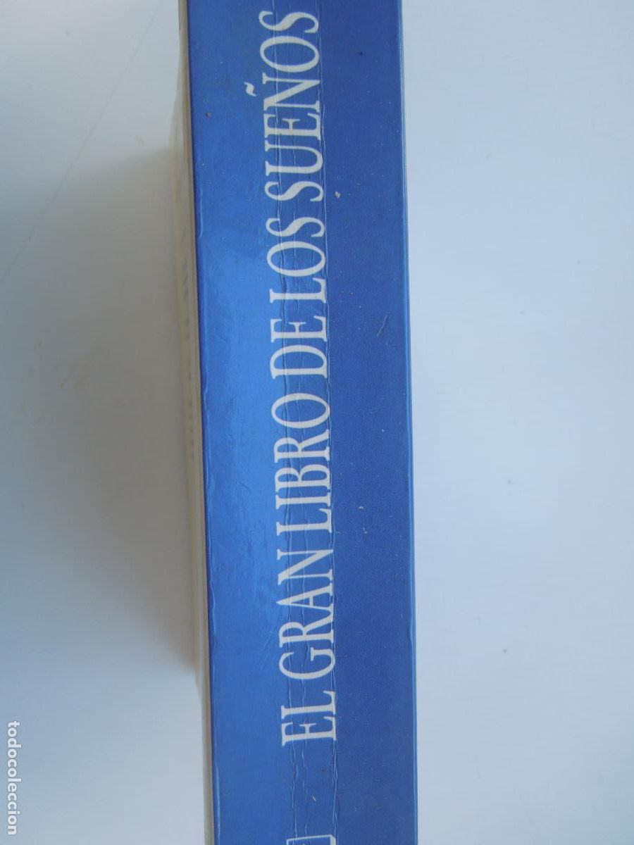 Libros de segunda mano: EL GRAN LIBRO DE LOS SUE&Ntilde;OS - ANNA MONTESCHI - EDITORIAL DE VECCHI 1998. - Foto 2