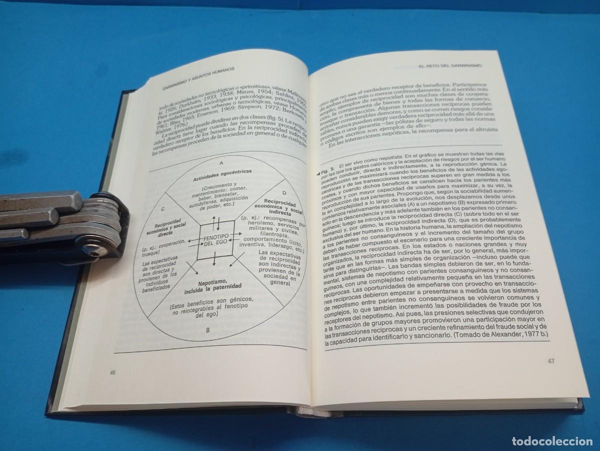 Libros de segunda mano: DARWINISMO Y ASUNTOS HUMANOS.- RICHARD ALEXANDER - Foto 6