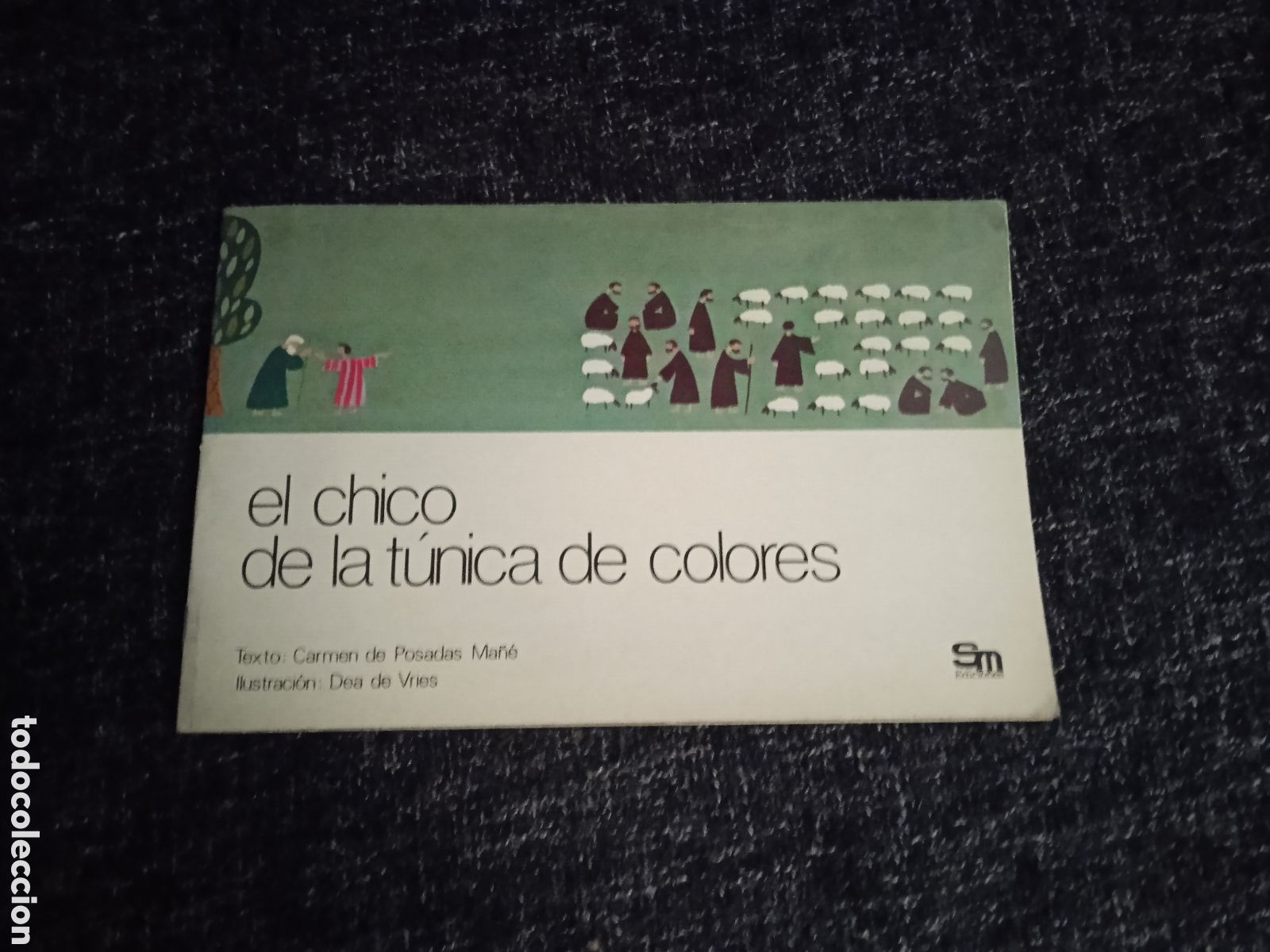 Libros de segunda mano: EL CHICO DE LA TUNICA COLORES / CARMEN DE POSADAS MA&Ntilde;E -ED. SM