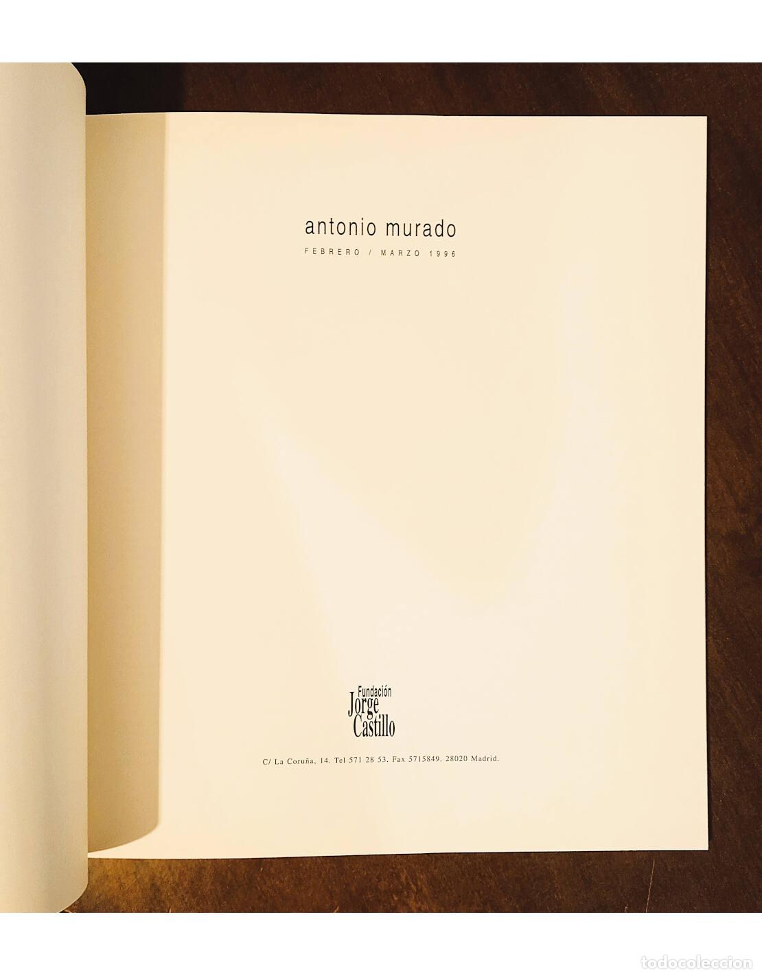 Libros de segunda mano: ANTONIO MURADO . MURADO, Antonio. Ediciones de la Fundaci&oacute;n Jorge Castillo. 1996. - Foto 2