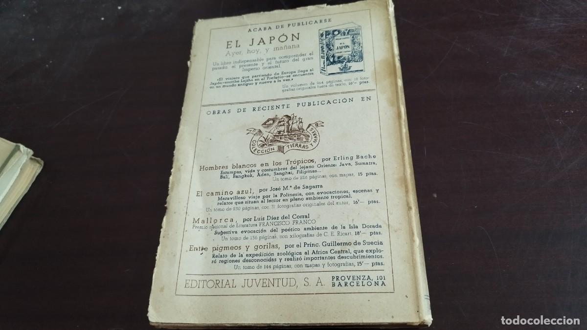 Libros de segunda mano: LA GRAN CUCHARA DE ASTA / E.WRIGHT / CJA 436 / PRIMERA EDICION / JUVENTUD - Foto 9