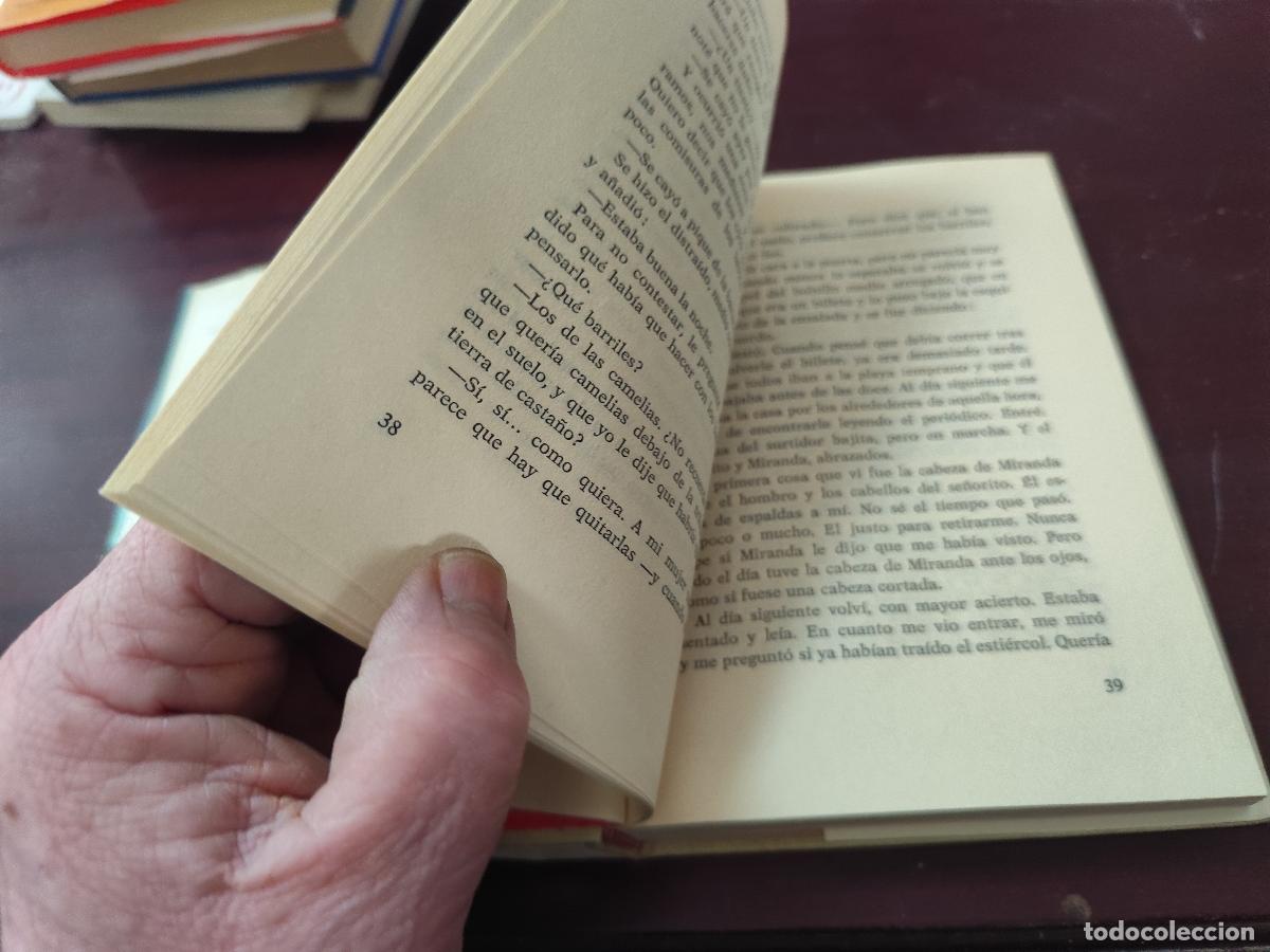 Libros de segunda mano: JARDIN JUNTO AL MAR / MERCE RODOREDA / CJA 445 / PRIMERA EDICION / PLANETA / - Foto 11