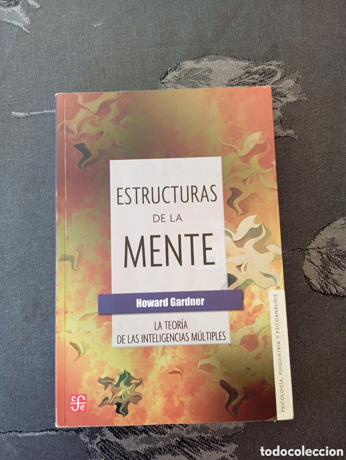 Libros de segunda mano: GARDNER, Howard. - Estructuras de la mente. La teor&iacute;a de las inteligencias m&uacute;ltiples. - Foto 1