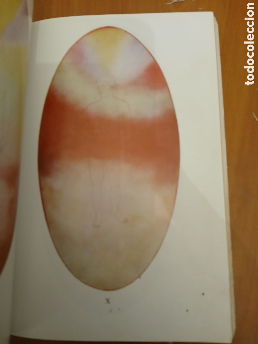 Libros de segunda mano: El hombre visible e invisible. C. W. Leadbeater. - Foto 8