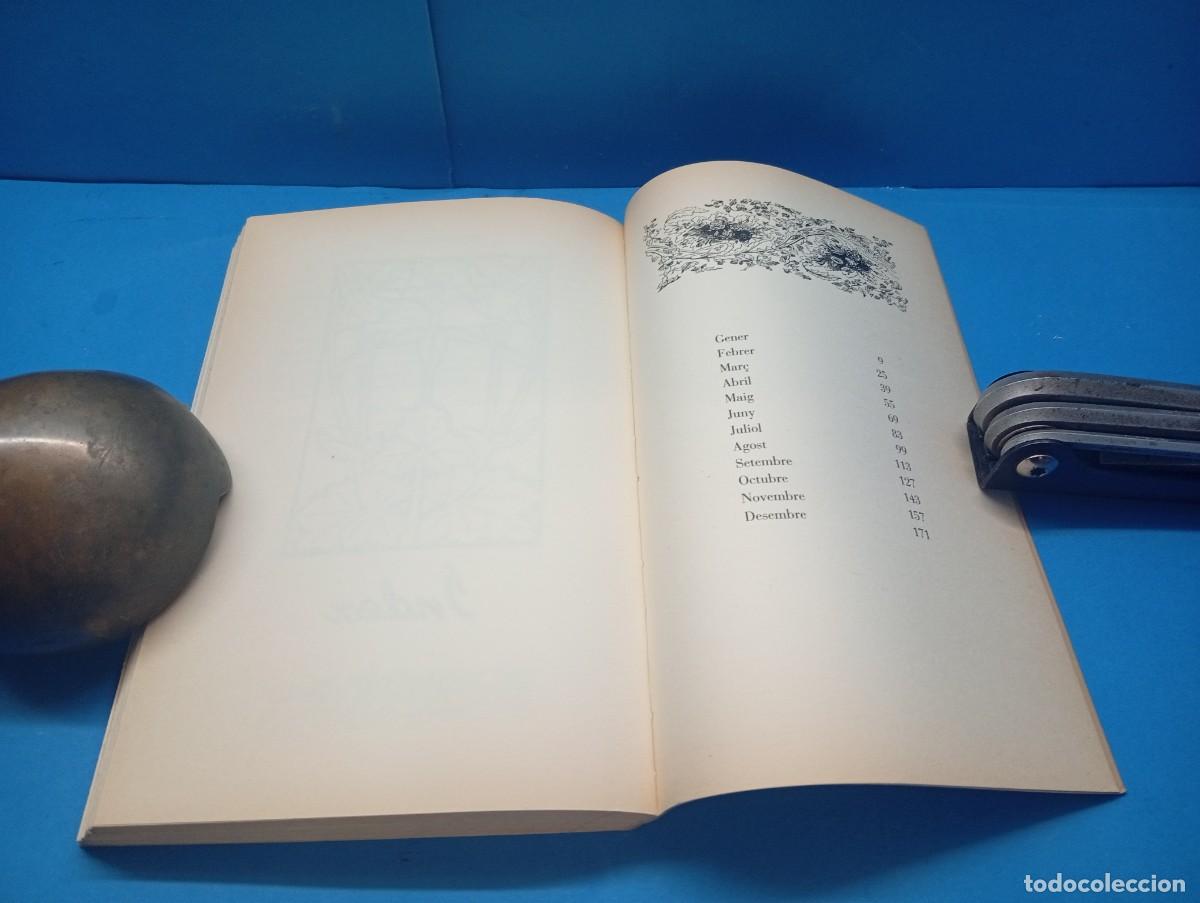 Libros de segunda mano: DESACOSTUMARI CATAL&Agrave;. PER CARLES ROMEU - Foto 12