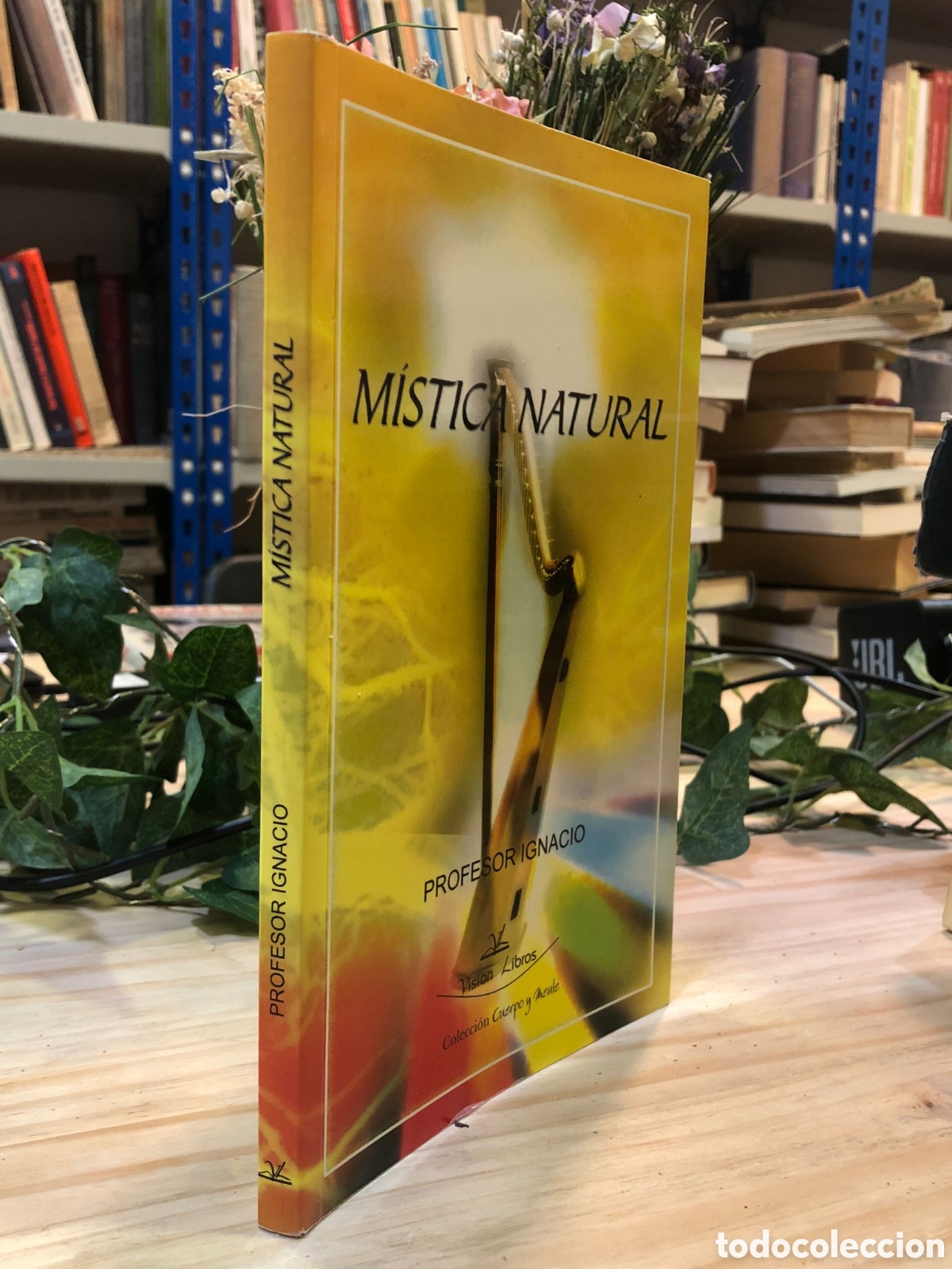 Libros de segunda mano: M&iacute;stica natural - Profesor Ignacio - Foto 1