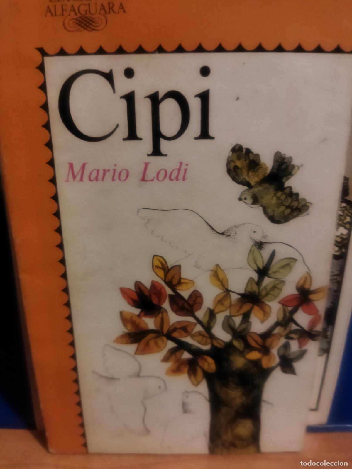 Libros de segunda mano: Cipi Mario Lodi ediciones Alfaguara - Foto 1