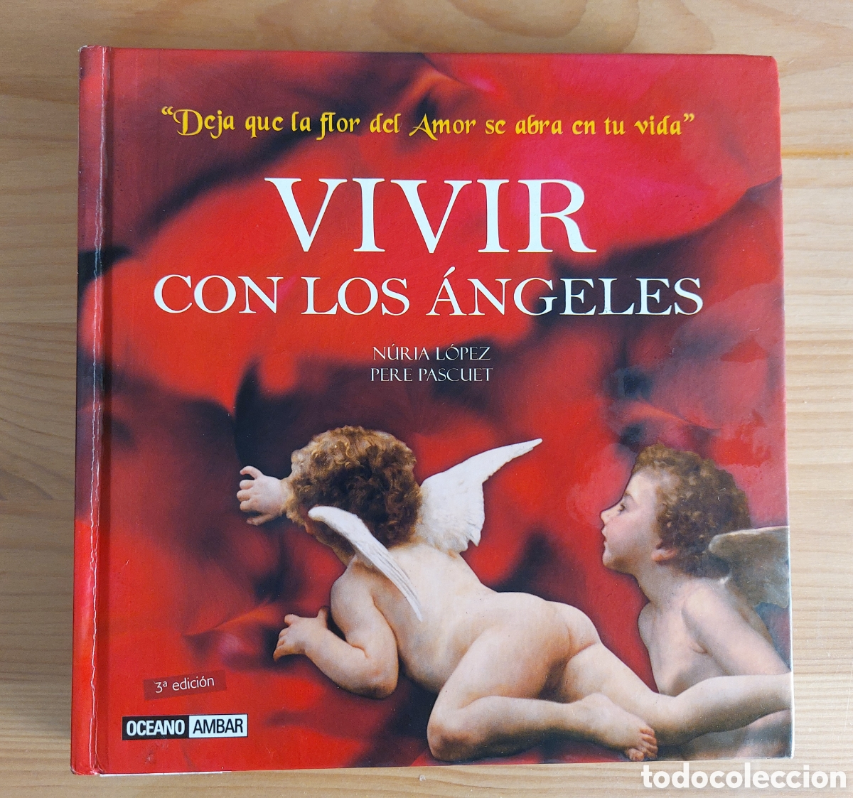Libros de segunda mano: Vivir con los &aacute;ngeles - Foto 1