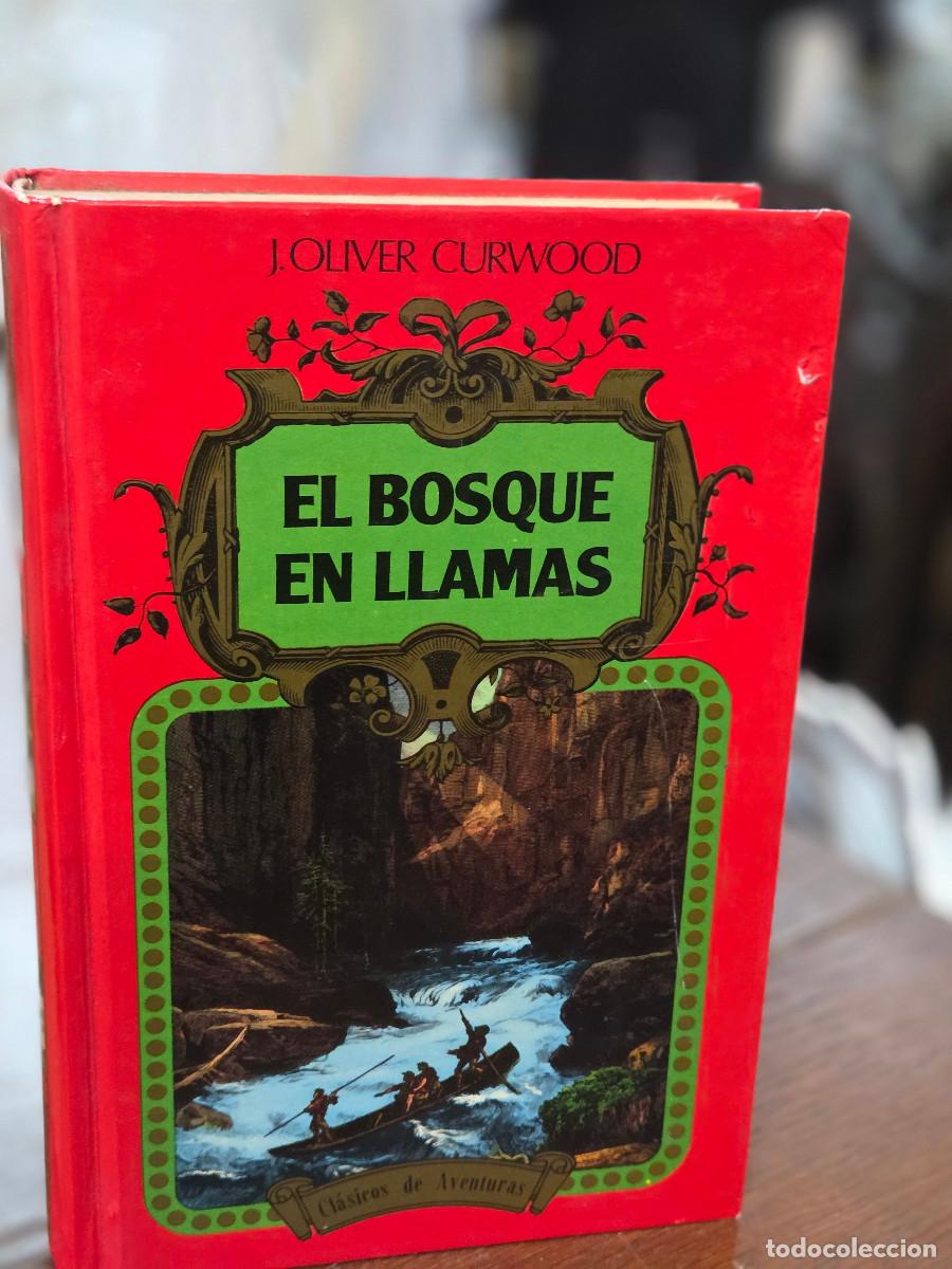 Libros de segunda mano: libro vintage el bosque en llamas - Foto 1