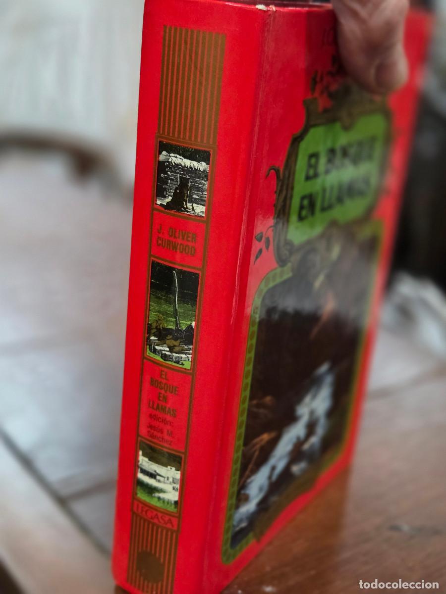 Libros de segunda mano: libro vintage el bosque en llamas - Foto 2