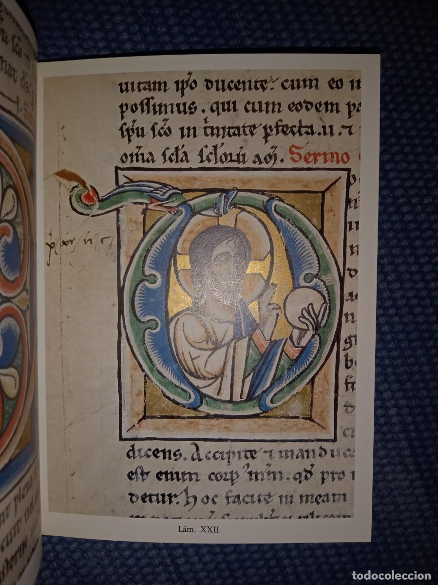 Libros de segunda mano: Abecedario-Bestiario de los C&oacute;dices de Santo Martino Le&oacute;n - Foto 2