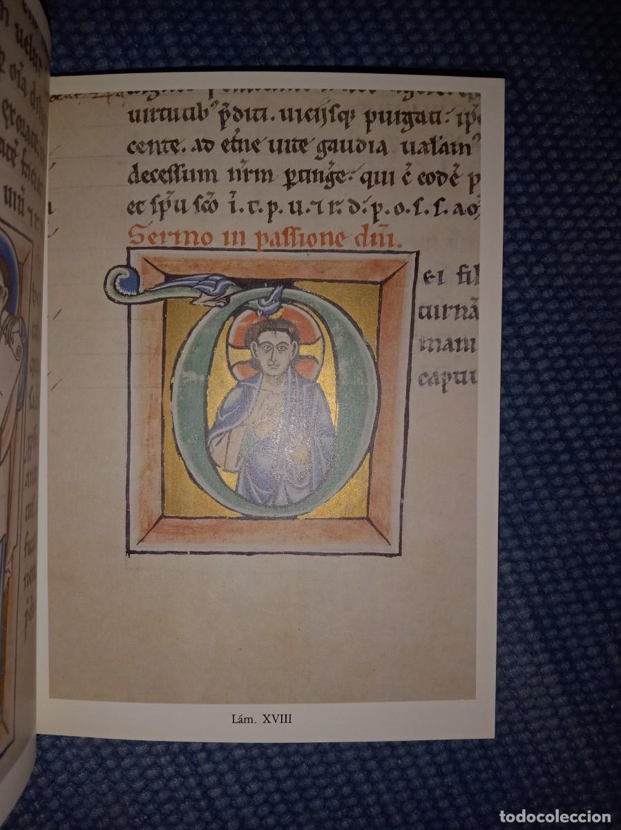 Libros de segunda mano: Abecedario-Bestiario de los C&oacute;dices de Santo Martino Le&oacute;n - Foto 3