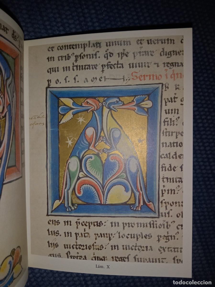 Libros de segunda mano: Abecedario-Bestiario de los C&oacute;dices de Santo Martino Le&oacute;n - Foto 4