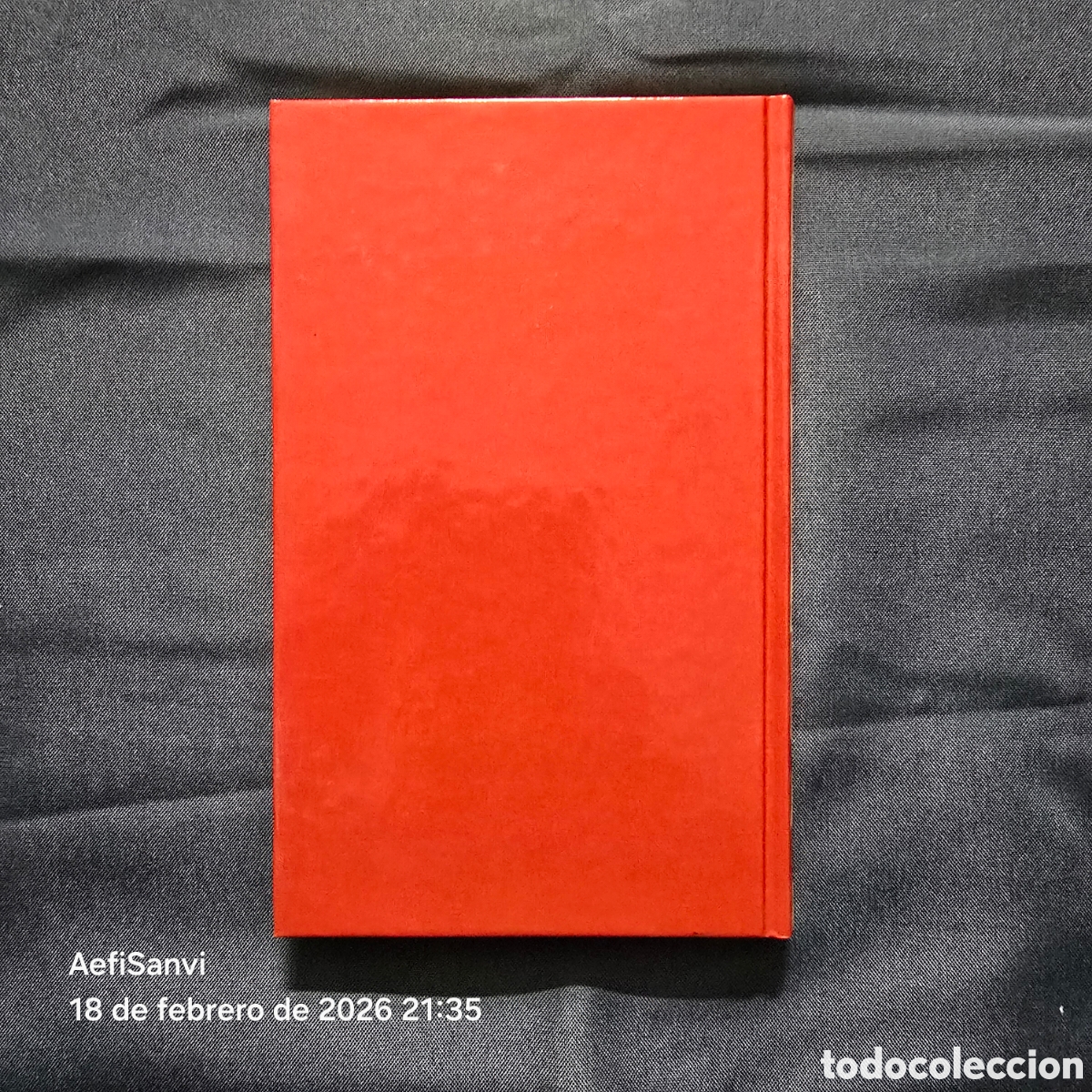 Libros de segunda mano: LA FORMACI&Oacute;N DE LAS CAVERNAS (PHILIPPE RENAULT) (MUY INTERESANTE) - Foto 2