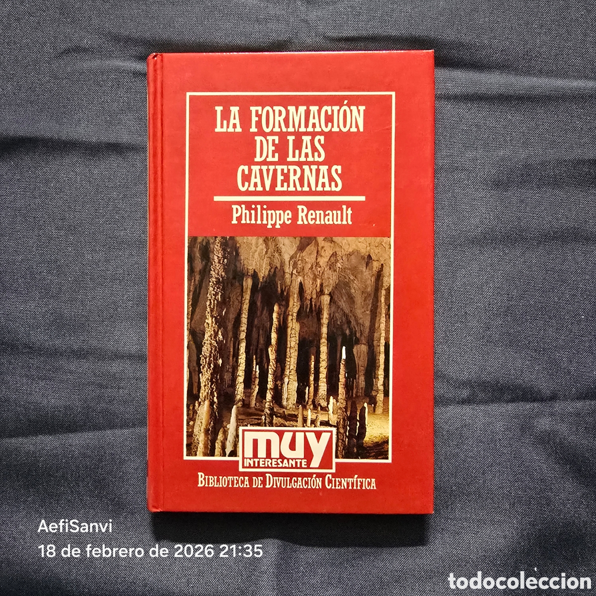 Libros de segunda mano: LA FORMACI&Oacute;N DE LAS CAVERNAS (PHILIPPE RENAULT) (MUY INTERESANTE) - Foto 1