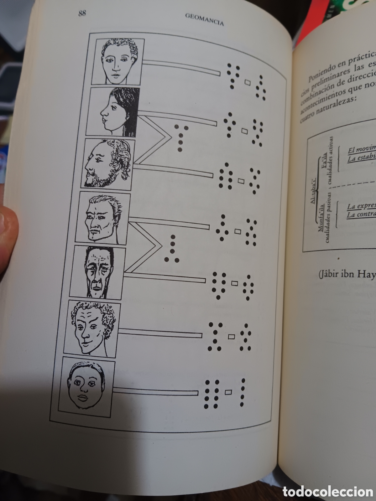 Libros de segunda mano: GEOMANCIA. SU PR&Aacute;CTICA E INTERPRETACIONES ADIVINATORIAS PHILIPPE DUBOIS - Foto 2
