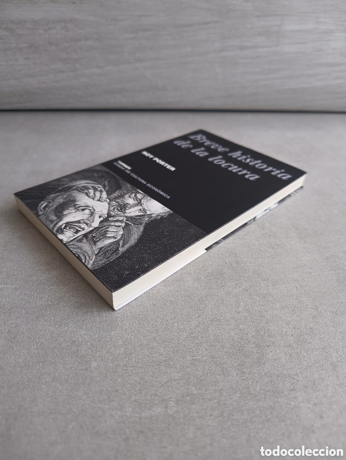 Libros de segunda mano: BREVE HISTORIA DE LA LOCURA. ROY PORTER. - Foto 7